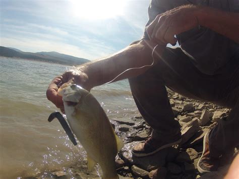 fishing at rockport reservoir